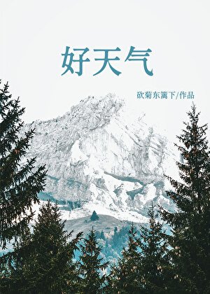 好天气[求生]
